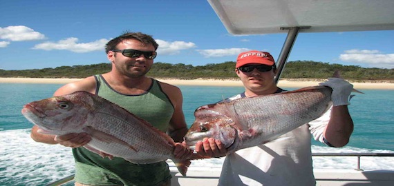 Want fish like this? See our fishing charter directory
