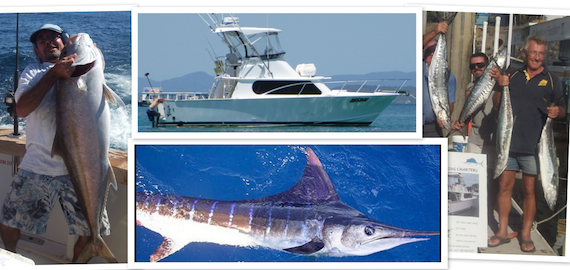 Marlin, reef and sports fishing available