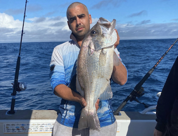 Large Pearl Perch on Arrow's Charters