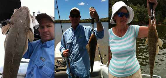 Land some nice flathead with Moreton Bay Charters